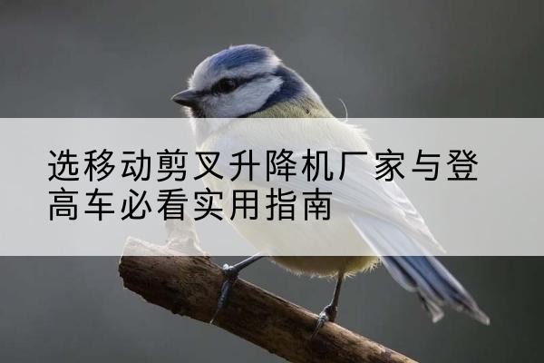 龙港电动升降机厂家-选移动剪叉升降机厂家与登高车必看实用指南