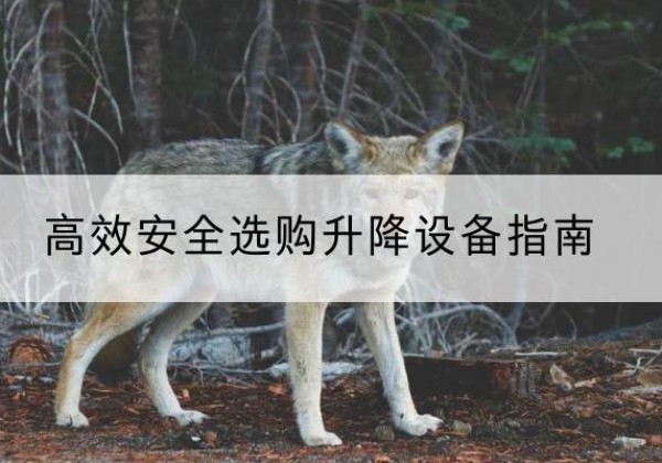 龙港升降货梯厂家推荐-*安全选购升降设备指南